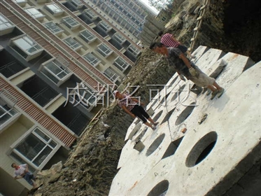 ţ^(q)ӞIɭְС^(q)Sع